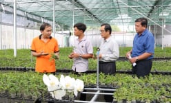 Một ông tỷ phú Tây Ninh trồng thành công loài 'hoa quý tộc' được Thủ tướng Chính phủ tặng Bằng khen