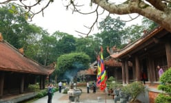 Kinh thành cổ Lam Kinh ở Thanh Hóa có 5 bia đá Bảo vật quốc gia, 3 cây cổ thụ nổi tiếng về sự lạ