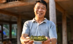 Rau đặc sản ở một nơi của Hà Giang là một thứ cây 'nước chảy chiều nào theo chiều đó'