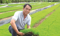 Hai tỷ phú ở An Giang là nông dân, người này trồng lúa Nhật, người kia trồng cây 'tỷ đô', thu tiền tỷ/năm