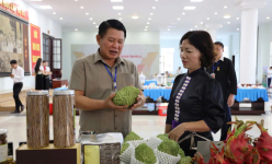 Đánh thức vùng cao Sơn La bằng sản phẩm OCOP