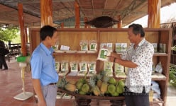 Lúa mùa quý hiếm cỡ nào mà một nông dân U70 Kiên Giang kiên trì bảo tồn thành công 40 loại giống?