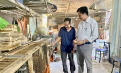 Nuôi loài đặc sản vốn là động vật hoang dã, nhử cho ăn chuối, ông nông dân Tây Ninh nói bán là hết veo