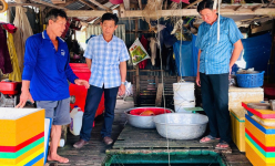 Nuôi loài cá thịt chắc, giàu protein trong mùa lũ, dân một xã ở Long An có của ăn của để