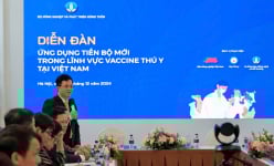 Nông dân còn e dè, doanh nghiệp đề xuất giải pháp thương mại hóa vaccine Dịch tả lợn châu Phi