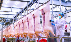 Masan MEATLife và hành trình định hình thị trường thịt mát