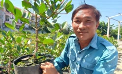 Biến cây dại thành cây cảnh đang hot, rễ mọc ngược lên trời, anh nông dân Long An có bao nhiêu bán hết bấy nhiêu