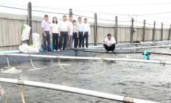 Nơi này ở Bến Tre, một tỷ phú đào ao lót bạt trên nền đất muối để nuôi con gì mà bắt hàng trăm tấn?