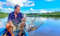 Mô hình đa canh ở nơi này của Cà Mau, dân nuôi con gì, trồng cây gì mà nhanh có tiền, ăn chắc mặc bền?