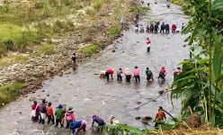Cá đặc sản để dành dưới suối cả năm, dân nơi này ở Nghệ An đánh bắt khi nào mà cả làng vui đáo để?