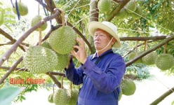 Vùng đất nào ở Bình Phước xưa sình lầy toàn muông thú, nay là làng văn hoá, có sầu riêng đặc sản Ba Đảo