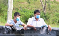Nuôi loại cá dày đặc ví như 'nhân sâm nước' ở bể lót bạt, nông dân Tây Ninh bán 220.000 đồng/kg