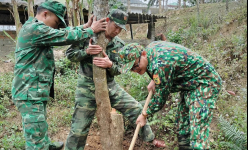 Bộ chỉ huy BĐBP Sơn La trồng hơn 1.000 cây xanh