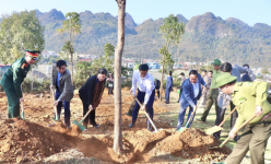 Lai Châu phát động 'Tết trồng cây đời đời nhớ ơn Bác Hồ', phấn đấu trồng mới 15.000 ha rừng vào năm 2025