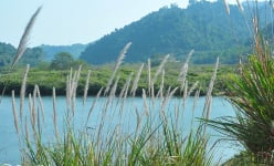 Dòng sông nào ở Thanh Hóa gắn liền với tên tuổi bà Triệu Thị Trinh, Thái úy Lý Thường Kiệt?
