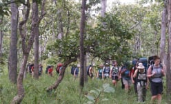 Một khu rừng nổi tiếng ở Đắk Lắk thấy một đoàn người nước ngoài đeo balo đi vào, trong đó có gì để xem?