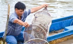 Đây là 2 kiểu nuôi tôm đang được nông dân Cà Mau ưa thích, ngành chức năng khuyến cáo nên làm theo