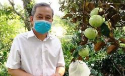 Loại trái cây đặc sản, quả ngon này ở một huyện của Tiền Giang hễ ai nhìn thấy là muốn cắn một miếng