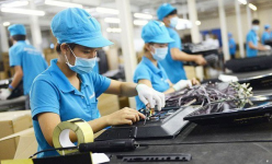 Kinh tế khó khăn, doanh nghiệp 'chết lâm sàng' gấp 1,5 lần số doanh nghiệp thành lập mới