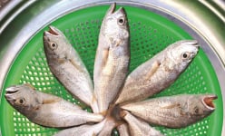 Cá ướp giấy ở Bình Thuận là thứ khô cá gì mà hễ tết đến nhâm nhi một miếng thấy lạ miệng?