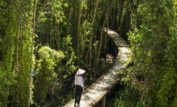 'Làng lạ' ở Long An tít trong một khu rừng rậm um tùm vùng Đồng Tháp Mười, cổng làng hoành tráng