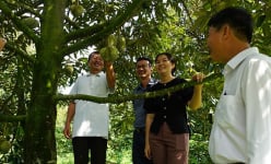Một nơi ở Đồng Tháp, nông dân mạnh dạn chuyển đổi cây trồng kiểu gì mà tiền thu được nhiều hơn?
