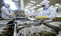 Vasep muốn bỏ hạn ngạch với tôm xuất khẩu vào Hàn Quốc