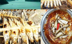 Top đầu các món ăn lạ miệng, ngon bổ dưỡng từ những loài cá đặc sản bắt trên hồ nước đẹp nhất Yên Bái