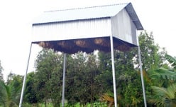 Làm chuồng hình thù kỳ dị nuôi một loài động vật hoang dã ở Hậu Giang, ít phải cho ăn, ngày nào cũng có tiền