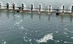 Đòi bồi thường hơn 160 tỷ đồng sau vụ rơi cánh quạt điện gió ở Bạc Liêu: Thông tin mới nhất từ người đâm đơn
