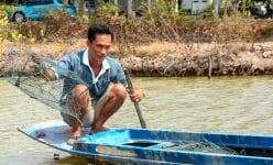 Một nỗi buồn mùa nắng nóng ở Cà Mau mang tên 'cua chết', đang thu 10 triệu/ngày nay tay trắng