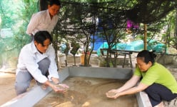 Nông dân Bến Tre xử lý chất thải chăn nuôi bằng loài động vật 'nhỏ nhưng có võ'