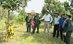 Nông thôn mới Quảng Nam: Huyện Bắc Trà My chọn tiêu chí thu nhập của người dân làm trọng tâm