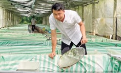 Tự trả lương 400 triệu/năm, 'làm chơi ăn thật' là mô hình nuôi cá cảnh, tép kiểng thành công ở Bến Tre