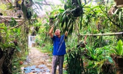 Trồng lan rừng, vườn đẹp như phim, nuôi thêm lợn rừng, một hội viên, nông dân Bắc Kạn giàu lên