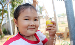 Ở vùng Bảy Núi của An Giang loại quả hột lộn ra ngoài chín đỏ có, chín vàng có, nhìn thôi đã no con mắt