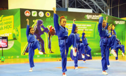 Hơn 1.500 võ sinh Vovinam tranh tài Hội khoẻ Phù Đổng TP.HCM 