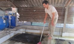 Nuôi lươn không bùn, gà Ai Cập, nhiều nông dân giỏi một xã ở Bà Rịa – Vũng Tàu là triệu phú
