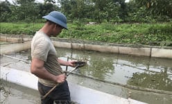 Xâm nhập mặn gây chết 4-5 tạ ốc nhồi ở Hải Dương, nghe ngỡ như 'chuyện thời sự' miền Tây, đến khổ!