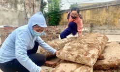 12 di vật cổ xưa vốn là kết cấu một cây cầu đá xanh nguyên khối ở Hải Dương