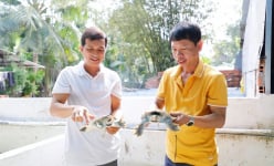 Lội vô bể xi măng mò túm con đặc sản, anh nông dân Cần Thơ bán 400.000-500.000 đồng/kg, thu gần 1 tỷ