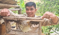 Chuyện lạ Điện Biên, làm chuồng xinh dụ một con động vật từ rừng về vườn ở, ai ngờ lại 'trúng đậm'