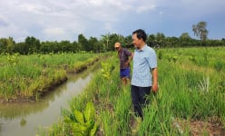 Chúng tôi từng “hoang mang không hề nhẹ” khi bắt tay “làm cỗ” đãi bạn đọc báo điện tử Dân Việt 