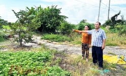 Nhiều hộ dân ở Cà Mau “dính bẫy” của cặp vợ chồng vì bán đất trước nhận tiền sau