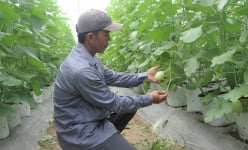 Hội Nông dân tỉnh Đồng Nai xây dựng nhiều mô hình giúp nông dân khởi nghiệp sáng tạo