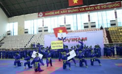 Hơn 300 HLV, VĐV tham gia Giải Vô địch Vovinam miền Bắc năm 2024