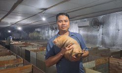 Nuôi con đặc sản, mấy lần suýt sạt nghiệp, nay trai làng ở Thái Nguyên thu tiền tỷ/năm