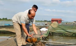 Mang loài cá chỉ ưa nơi nước lạnh về nuôi trên sông Kinh Thầy, anh nông dân Hải Dương bán với giá 250.000 đồng/kg