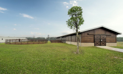 Cư dân Vinhomes Royal Island “bỏ túi” nhiều đặc quyền tại Học viện cưỡi ngựa Hoàng Gia