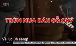 Loạt bài 'Đường đi của gỗ lậu qua xe chuyển phát nhanh' của báo NTNN/Dân Việt xuất hiện trong phóng sự VTV 